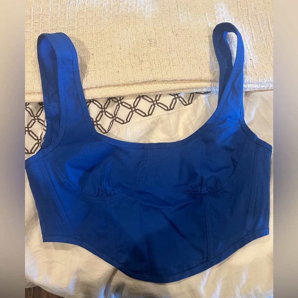 Red Berry royal blue corset top